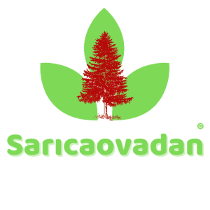 Sarıcaovadan
