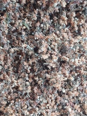 Doğal çiçek ıhlamur yoğun aroma %90 çiçek ıhlamur
