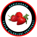 Hakkımızda 13 Cilek logo