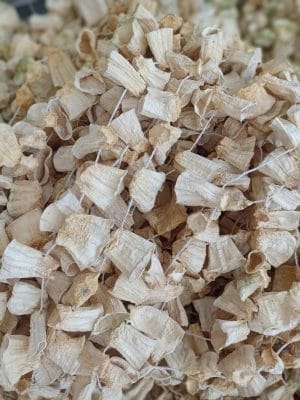 Dolmalık Kabak Kurusu