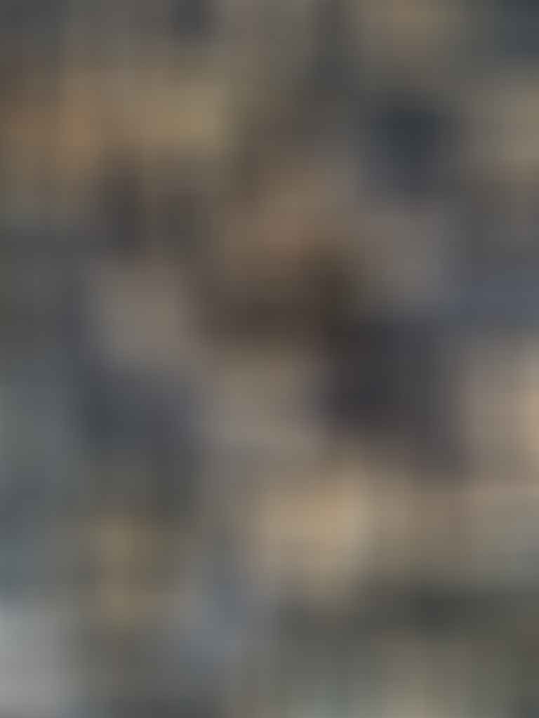 1000105851