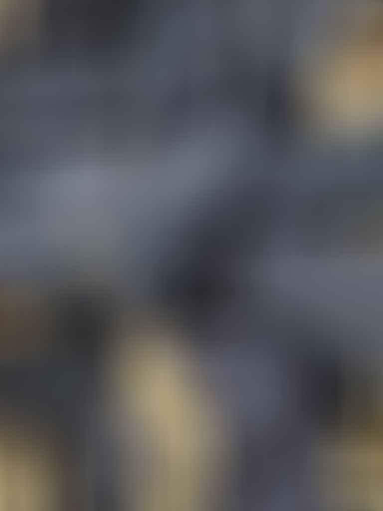 1000106867