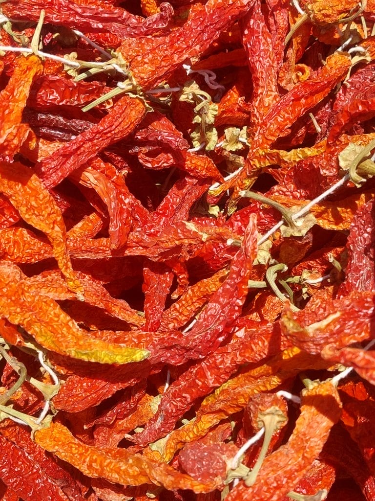 Sarıcaovadan 46 1000114567