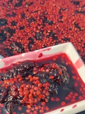 Doğal Karadut Reçeli 460 Gr - Görsel 6