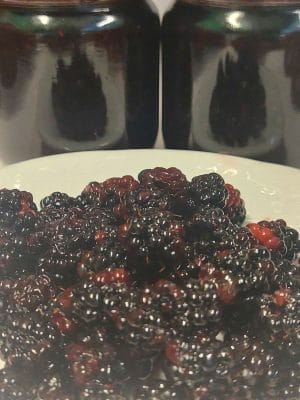 Doğal Böğürtlen Reçeli 460 Gr - Görsel 2