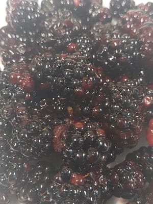 Doğal Böğürtlen Reçeli 460 Gr - Görsel 7