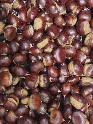 Meşhur aydın şekerci kestanesi yerli kestane