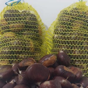 Meşhur aydın şekerci kestanesi yerli kestane