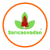Sarıcaovadan