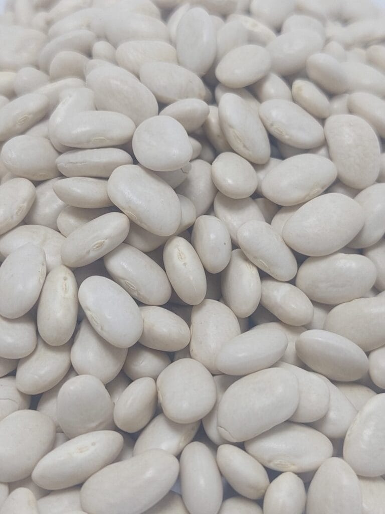 Kuru fasulye beyaz dermeson