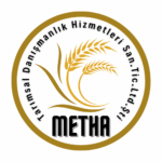 logo_500_p